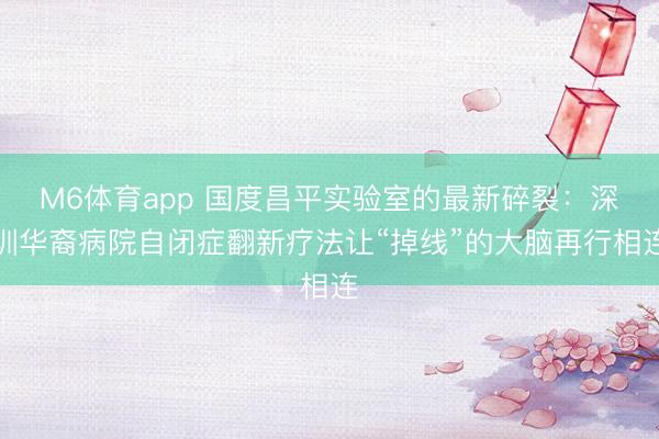 M6体育app 国度昌平实验室的最新碎裂：深圳华裔病院自闭症翻新疗法让“掉线”的大脑再行相连