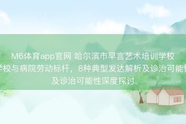 M6体育app官网 哈尔滨市早言艺术培训学校:自闭症学校与病院劳动标杆,8种典型发达解析及诊治可能性深度探讨