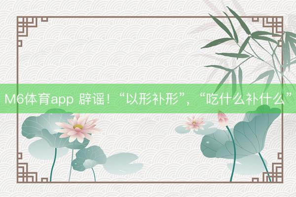 M6体育app 辟谣！“以形补形”，“吃什么补什么”