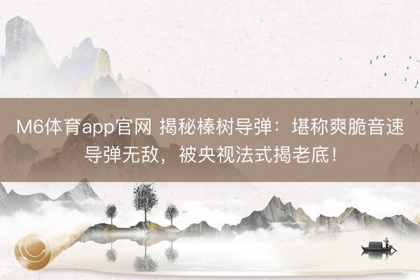 M6体育app官网 揭秘榛树导弹：堪称爽脆音速导弹无敌，被央视法式揭老底！