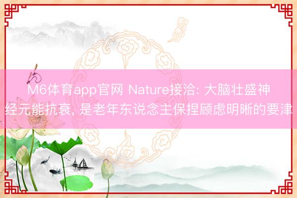M6体育app官网 Nature接洽: 大脑壮盛神经元能抗衰， 是老年东说念主保捏顾虑明晰的要津