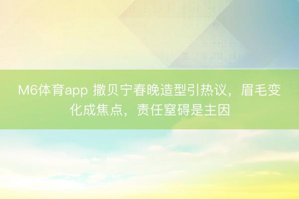 M6体育app 撒贝宁春晚造型引热议，眉毛变化成焦点，责任窒碍是主因