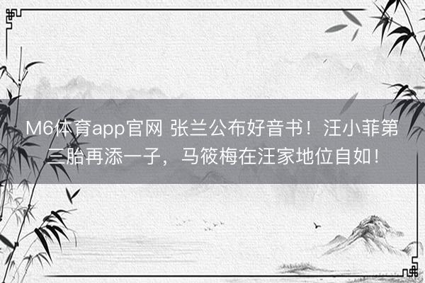 M6体育app官网 张兰公布好音书！汪小菲第三胎再添一子，马筱梅在汪家地位自如！