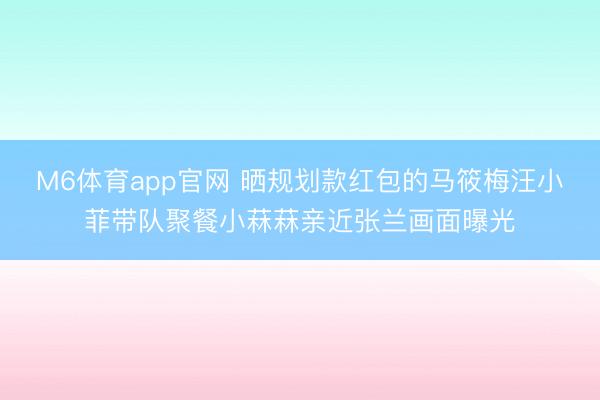 M6体育app官网 晒规划款红包的马筱梅汪小菲带队聚餐小菻菻亲近张兰画面曝光