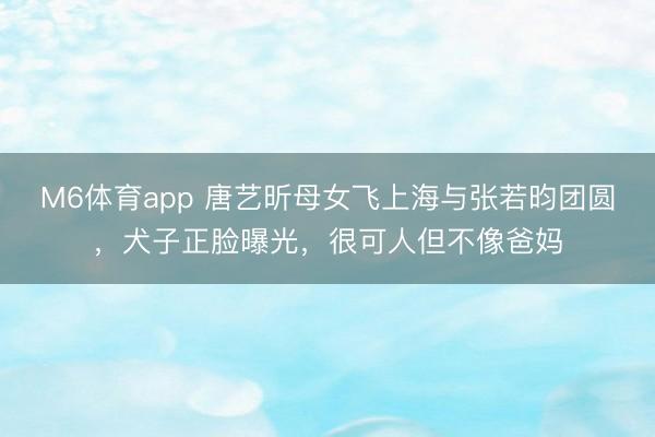 M6体育app 唐艺昕母女飞上海与张若昀团圆，犬子正脸曝光，很可人但不像爸妈