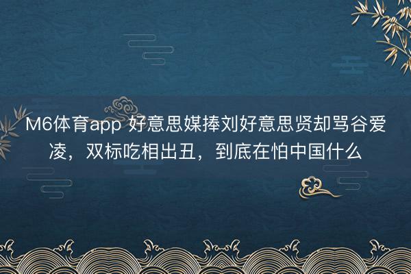 M6体育app 好意思媒捧刘好意思贤却骂谷爱凌，双标吃相出丑，到底在怕中国什么