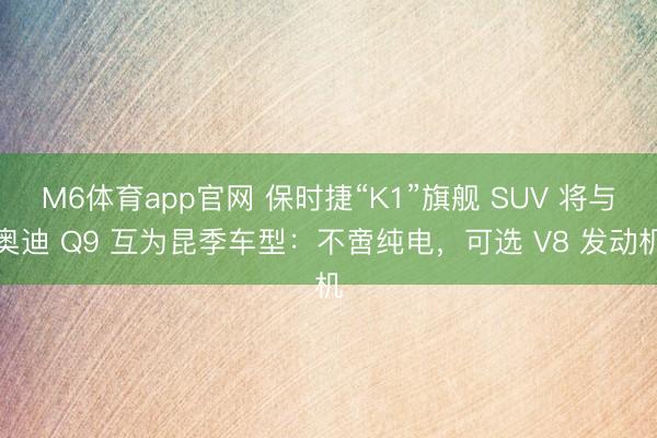M6体育app官网 保时捷“K1”旗舰 SUV 将与奥迪 Q9 互为昆季车型：不啻纯电，可选 V8 发动机