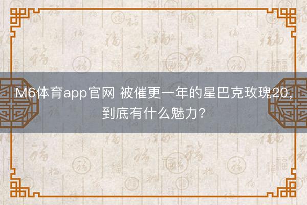 M6体育app官网 被催更一年的星巴克玫瑰20，到底有什么魅力？