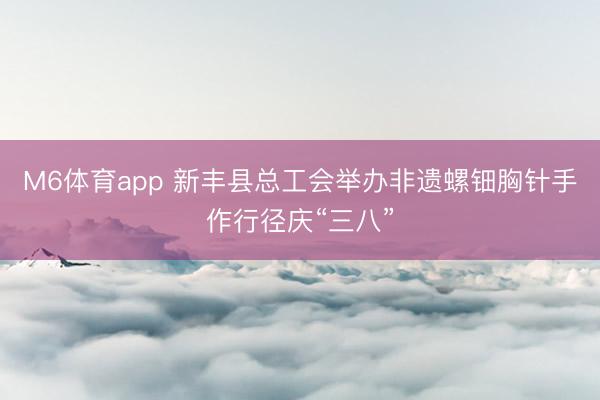 M6体育app 新丰县总工会举办非遗螺钿胸针手作行径庆“三八”