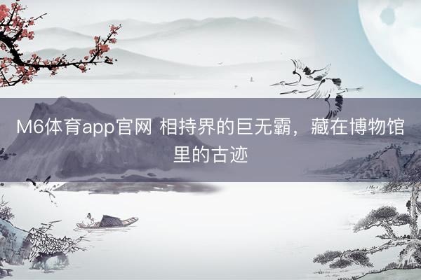 M6体育app官网 相持界的巨无霸，藏在博物馆里的古迹