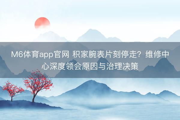 M6体育app官网 积家腕表片刻停走？维修中心深度领会原因与治理决策