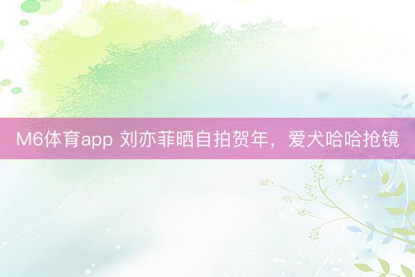 M6体育app 刘亦菲晒自拍贺年，爱犬哈哈抢镜