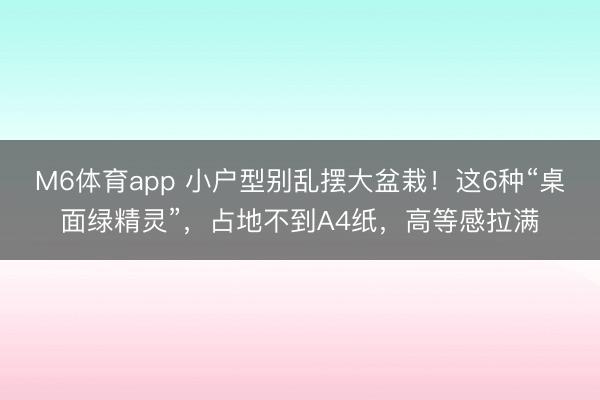 M6体育app 小户型别乱摆大盆栽！这6种“桌面绿精灵”，占地不到A4纸，高等感拉满