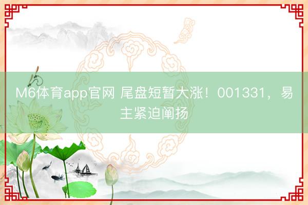 M6体育app官网 尾盘短暂大涨！001331，易主紧迫阐扬
