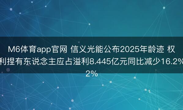 M6体育app官网 信义光能公布2025年龄迹 权利捏有东说念主应占溢利8.445亿元同比减少16.2%