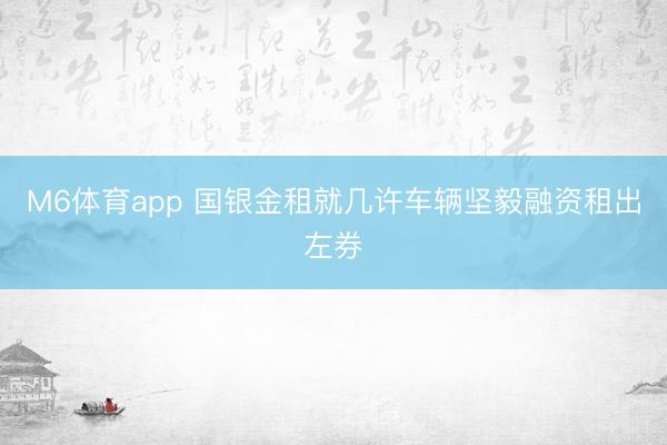 M6体育app 国银金租就几许车辆坚毅融资租出左券