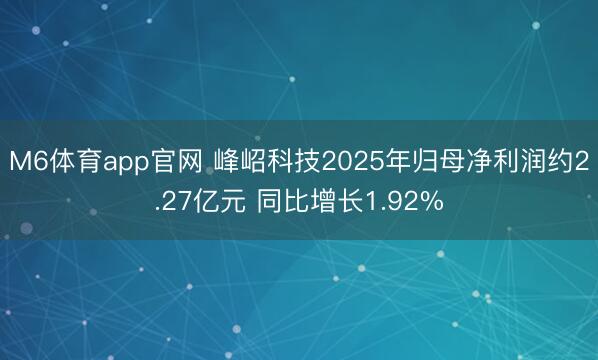 M6体育app官网 峰岹科技2025年归母净利润约2.27亿元 同比增长1.92%
