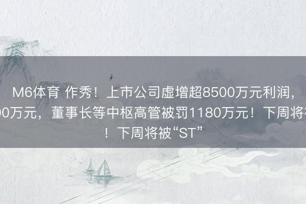 M6体育 作秀！上市公司虚增超8500万元利润，被罚600万元，董事长等中枢高管被罚1180万元！下周将被“ST”