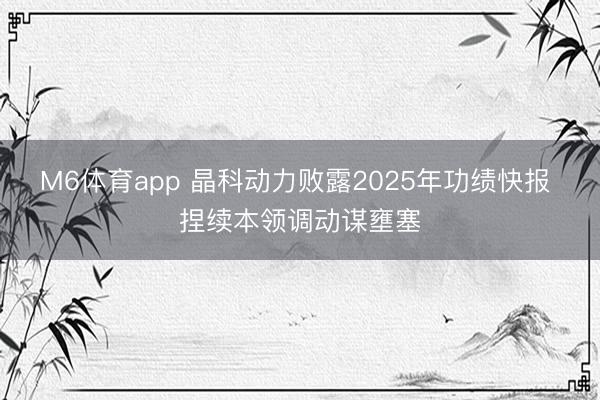 M6体育app 晶科动力败露2025年功绩快报 捏续本领调动谋壅塞