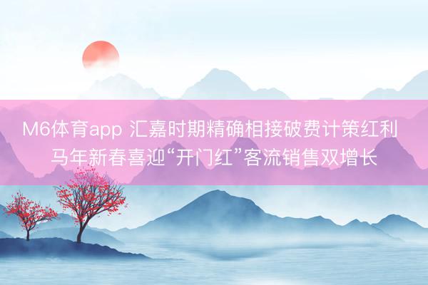 M6体育app 汇嘉时期精确相接破费计策红利 马年新春喜迎“开门红”客流销售双增长
