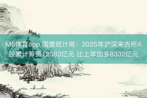 M6体育app 国度统计局：2025年沪深来去所A股累计筹资12583亿元 比上年加多8332亿元