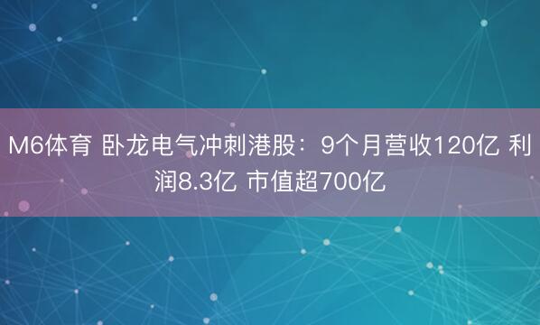 M6体育 卧龙电气冲刺港股：9个月营收120亿 利润8.3亿 市值超700亿