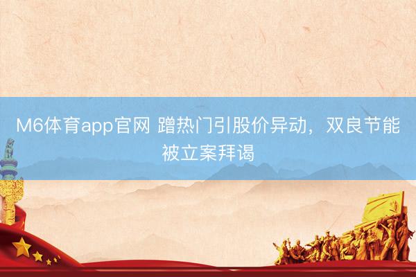M6体育app官网 蹭热门引股价异动，双良节能被立案拜谒