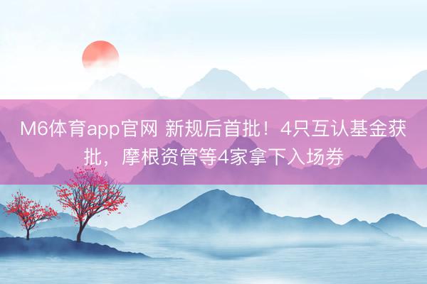 M6体育app官网 新规后首批！4只互认基金获批，摩根资管等4家拿下入场券