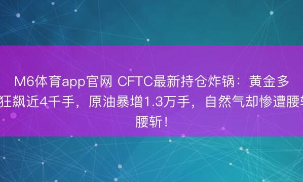 M6体育app官网 CFTC最新持仓炸锅：黄金多头狂飙近4千手，原油暴增1.3万手，自然气却惨遭腰斩！