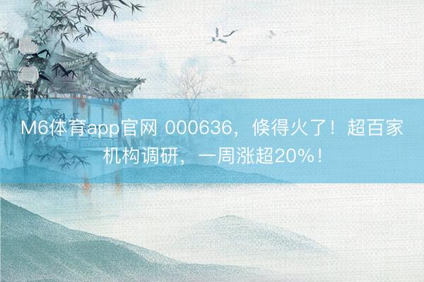 M6体育app官网 000636，倏得火了！超百家机构调研，一周涨超20%！