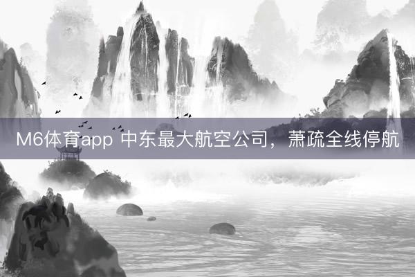 M6体育app 中东最大航空公司，萧疏全线停航
