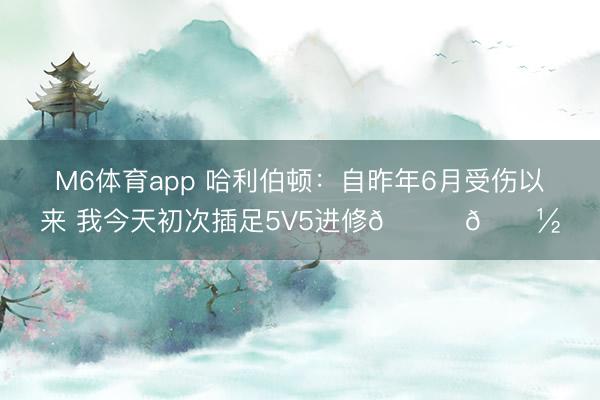 M6体育app 哈利伯顿：自昨年6月受伤以来 我今天初次插足5V5进修🙏🏽