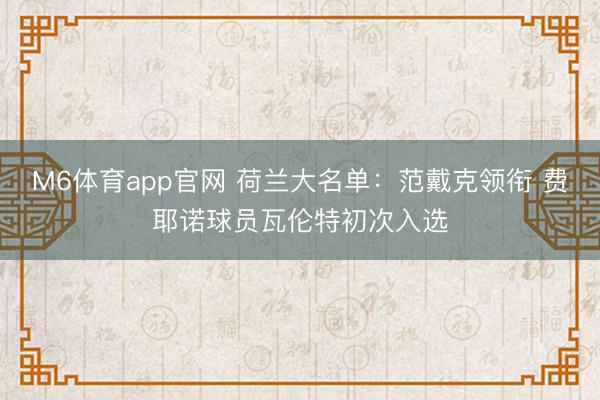 M6体育app官网 荷兰大名单:范戴克领衔 费耶诺球员瓦伦特初次入选