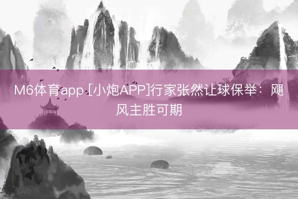 M6体育app [小炮APP]行家张然让球保举：飓风主胜可期