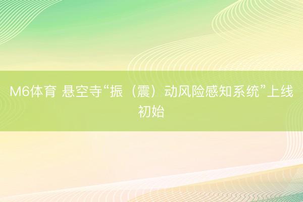 M6体育 悬空寺“振（震）动风险感知系统”上线初始