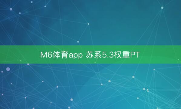 M6体育app 苏系5.3权重PT