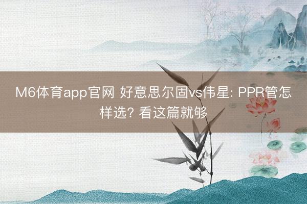 M6体育app官网 好意思尔固vs伟星: PPR管怎样选? 看这篇就够