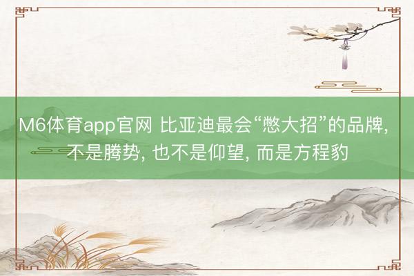 M6体育app官网 比亚迪最会“憋大招”的品牌， 不是腾势， 也不是仰望， 而是方程豹