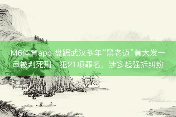 M6体育app 盘踞武汉多年“黑老迈”黄大发一审被判死刑：犯21项罪名，涉多起强拆纠纷