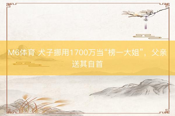 M6体育 犬子挪用1700万当“榜一大姐”，父亲送其自首