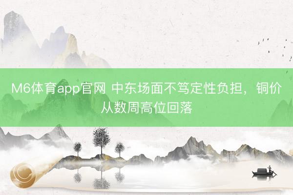 M6体育app官网 中东场面不笃定性负担，铜价从数周高位回落