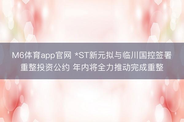 M6体育app官网 *ST新元拟与临川国控签署重整投资公约 年内将全力推动完成重整