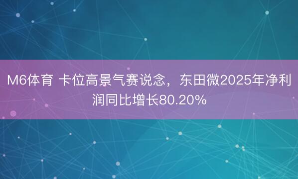 M6体育 卡位高景气赛说念，东田微2025年净利润同比增长80.20%