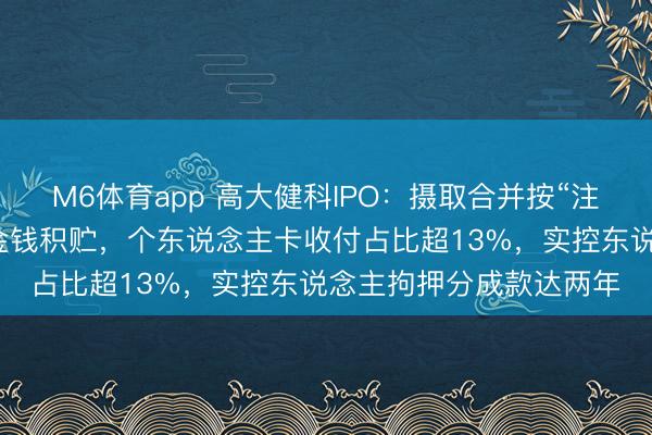 M6体育app 高大健科IPO：摄取合并按“注册成本”入账，无视净金钱积贮，个东说念主卡收付占比超13%，实控东说念主拘押分成款达两年