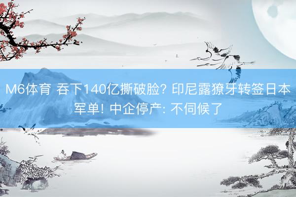 M6体育 吞下140亿撕破脸? 印尼露獠牙转签日本军单! 中企停产: 不伺候了