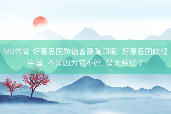 M6体育 好意思国熟谙曾熏陶印度: 好意思国歧视中国， 不是因为它不好， 是太胜仗了