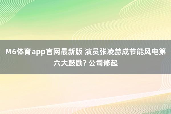 M6体育app官网最新版 演员张凌赫成节能风电第六大鼓励? 公司修起