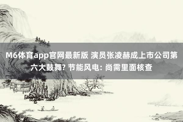 M6体育app官网最新版 演员张凌赫成上市公司第六大鼓舞? 节能风电: 尚需里面核查