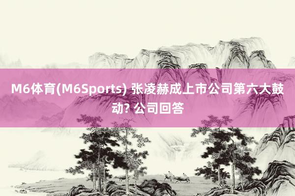 M6体育(M6Sports) 张凌赫成上市公司第六大鼓动? 公司回答