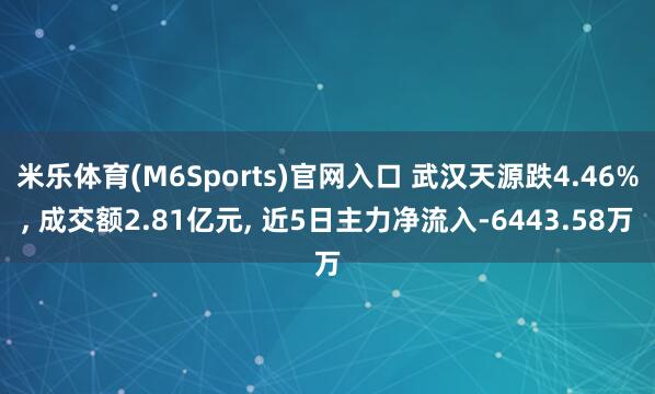 米乐体育(M6Sports)官网入口 武汉天源跌4.46%， 成交额2.81亿元， 近5日主力净流入-6443.58万